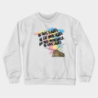 Moth Light Meme Tribute Design Crewneck Sweatshirt